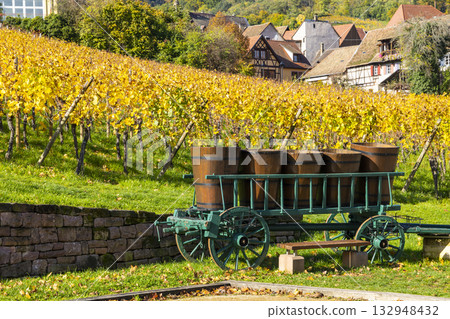 Traditional cart with harvesting barrels in Alsace vineyard 132948432