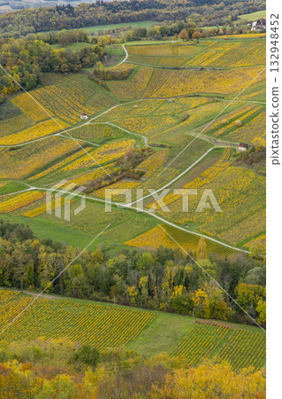 Autumn vineyard landscape in Chateau Chalon, Jura, France 132948452