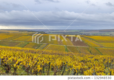 Fleys vineyards displaying vibrant autumn colors, Bourgogne Franche Comte 132948530