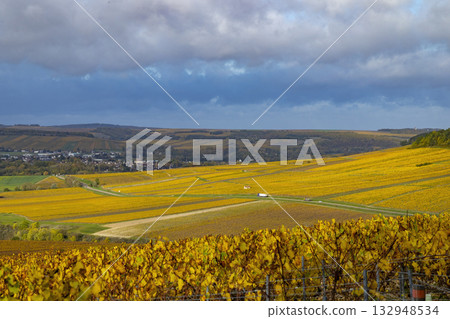 Fleys vineyards displaying golden autumn colors in France Fleys vineyards displaying golden autumn colors in France 132948534