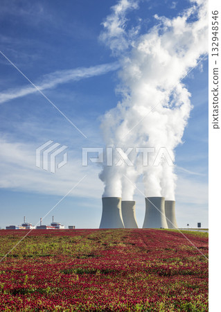 Temelin power plant cooling towers and red clover field 132948546