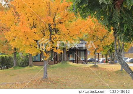 丟棄服務區域 132948612