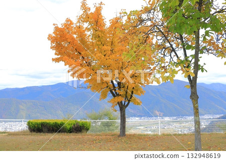 Discard service area 132948619