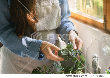 Caring for green plants in a sustainable greenhouse environment 132948682