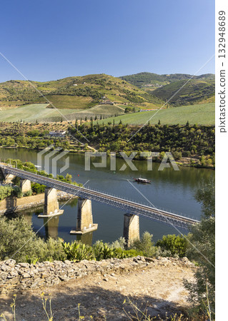 Douro river valley with railway bridge and vineyards Douro river valley with railway bridge and vineyards 132948689