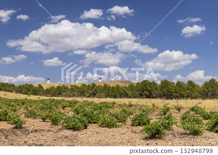 Windmills standing on hill overlooking vineyard in La Mancha, Spain Windmills standing on hill overlooking vineyard in La Mancha, Spain 132948799