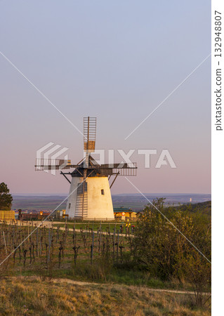 Kalvarienberg windmill standing among vineyards at sunset in Retz, Austria Kalvarienberg windmill standing among vineyards at sunset in Retz, Austria 132948807