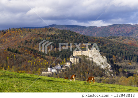 Orava Castle during autumn with grazing cows in field 132948818