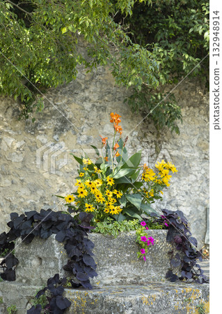 Blooming flowers in stone planter against old wall 132948914