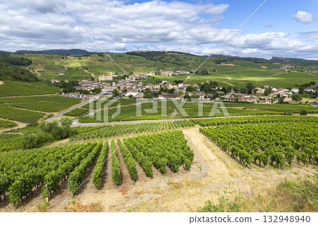 Fuisse village and vineyards landscape in Bourgogne Franche Comte France Fuisse village and vineyards landscape in Bourgogne Franche Comte France 132948940