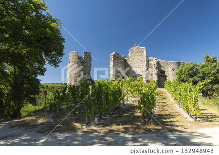 Chateau de Larnage ruins with vineyard in Drome, France Chateau de Larnage ruins with vineyard in Drome, France 132948943