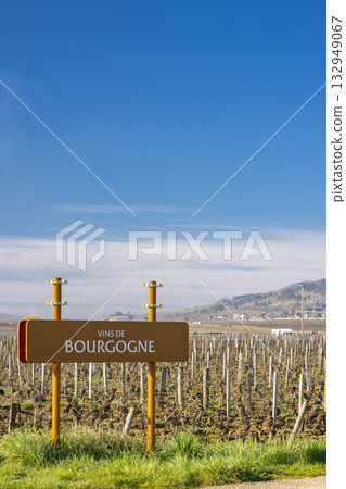 Vins de Bourgogne sign in Meursault vineyard Vins de Bourgogne sign in Meursault vineyard 132949067