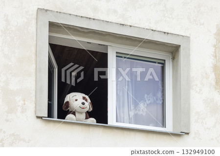Stuffed dog looking out from open window in Stare Mesto pod Landstejnem Stuffed dog looking out from open window in Stare Mesto pod Landstejnem 132949100