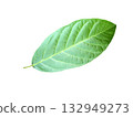 Green leaf isolated on white background, clipping path. 132949273