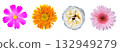 Set of beautiful flowers isolated on white background with clipping path 132949279