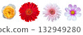 Set of beautiful flowers isolated on white background with clipping path 132949280