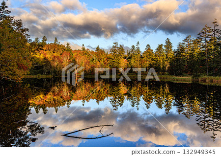 Golden forest and clear lake surface 132949345