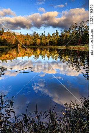 The water mirror of Tenryu Marsh dyed in the morning sun 132949346