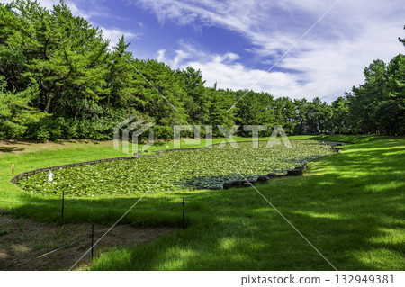 Miyazaki Awakihara Forest Park Misogi Pond (Miike) Miyazaki City, Miyazaki Prefecture 132949381