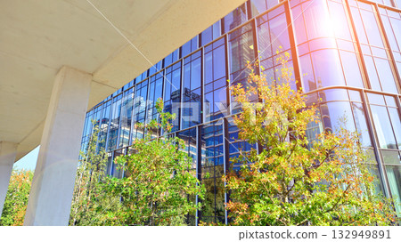 Modern luxury office building.The structure features a glass and concrete walls, showcasing contemporary architecture. The green surroundings of office buildings. Trees and shrubs in the city. 132949891