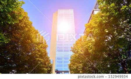 Modern luxury office building.The structure features a glass and concrete walls, showcasing contemporary architecture. The green surroundings of office buildings. Trees and shrubs in the city. Modern luxury office building.The structure features a glass and concrete walls, showcasing contemporary architecture. The green surroundings of office buildings. Trees and shrubs in the city. 132949934