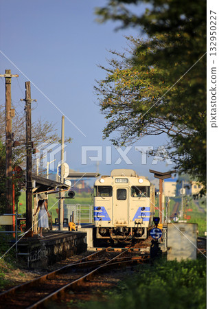 Returning home on a local Kiha 40 train 132950227
