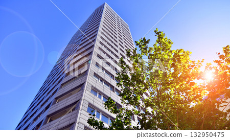 Modern luxury office building.The structure features a glass and concrete walls, showcasing contemporary architecture. The green surroundings of office buildings. Trees and shrubs in the city. 132950475