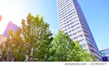 Modern luxury office building.The structure features a glass and concrete walls, showcasing contemporary architecture. The green surroundings of office buildings. Trees and shrubs in the city. 132950477