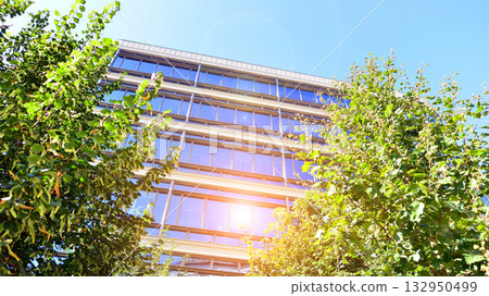 Modern luxury office building.The structure features a glass and concrete walls, showcasing contemporary architecture. The green surroundings of office buildings. Trees and shrubs in the city. 132950499