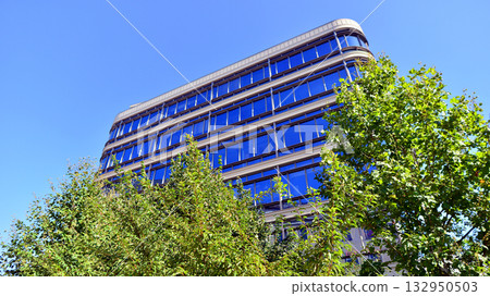 Modern luxury office building.The structure features a glass and concrete walls, showcasing contemporary architecture. The green surroundings of office buildings. Trees and shrubs in the city. Modern luxury office building.The structure features a glass and concrete walls, showcasing contemporary architecture. The green surroundings of office buildings. Trees and shrubs in the city. 132950503
