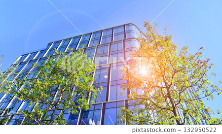 Modern luxury office building.The structure features a glass and concrete walls, showcasing contemporary architecture. The green surroundings of office buildings. Trees and shrubs in the city. Modern luxury office building.The structure features a glass and concrete walls, showcasing contemporary architecture. The green surroundings of office buildings. Trees and shrubs in the city. 132950522