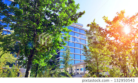 Modern luxury office building.The structure features a glass and concrete walls, showcasing contemporary architecture. The green surroundings of office buildings. Trees and shrubs in the city. 132950543
