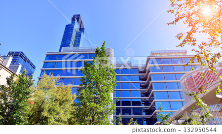 Modern luxury office building.The structure features a glass and concrete walls, showcasing contemporary architecture. The green surroundings of office buildings. Trees and shrubs in the city. 132950544