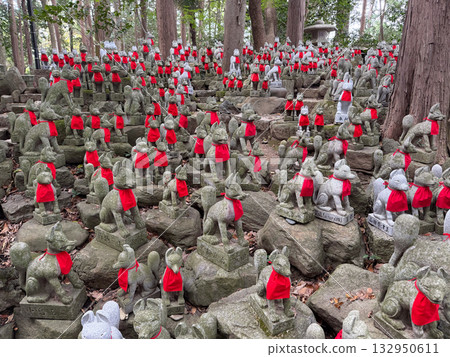 愛知縣豐川稻荷神社的秀麗景色 132950611