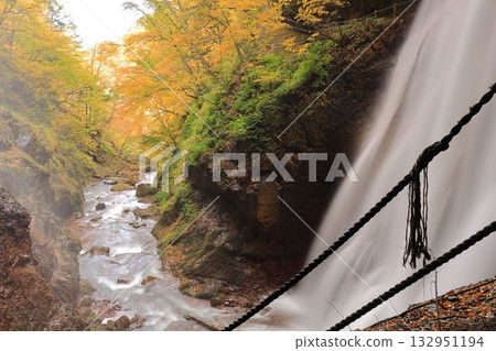 長野縣雷鳴瀑布的秋季 132951194