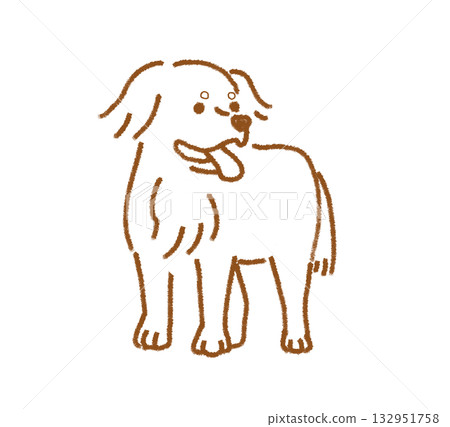 Bernese Mountain Dog 132951758