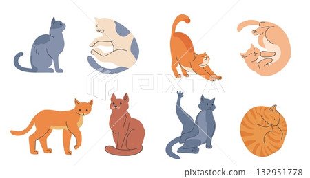 Set of colorful flat style cats in various poses sitting stretching sleeping walking isolated on white background for pet designs and decoration Set of colorful flat style cats in various poses sitting stretching sleeping walking isolated on white background for pet designs and decoration 132951778
