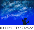 Cat catching a star 132952928