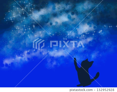 貓咪捕捉星星 貓咪捕捉星星 132952928