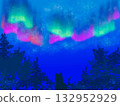 Vivid night sky and cat 132952929