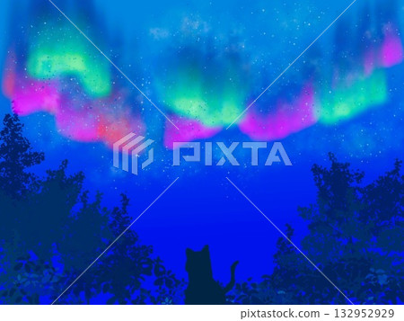 絢麗的夜空與貓 絢麗的夜空與貓 132952929