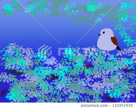 在森林裡的條紋的鷹 132952930