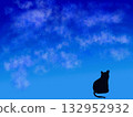 Sparkling night sky and cat 132952932