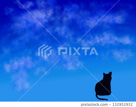 Sparkling night sky and cat 132952932