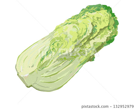 白菜的插圖 白菜的插圖 132952979