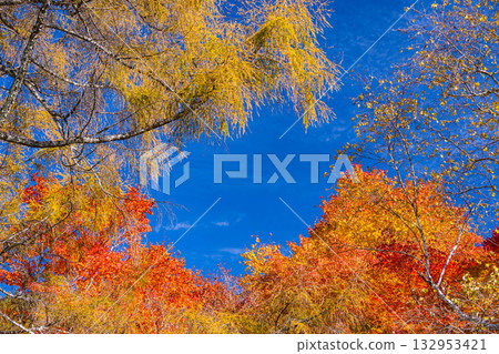 Autumn sky and autumn leaves Lake Izumi 132953421