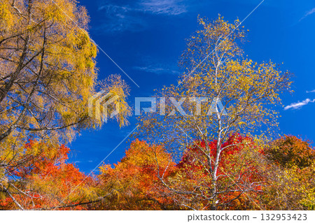 Autumn sky and autumn leaves Lake Izumi Autumn sky and autumn leaves Lake Izumi 132953423