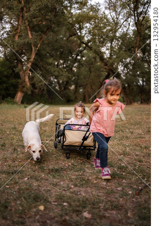 Girl pulling her twin sister in a cart with their dog running alongside in a park 132954180