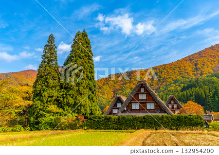 Shirakawago autumn leaves Shirakawago autumn leaves 132954200