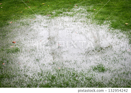 Rainwater puddle on green grass lawn after heavy rainfall in park environment Rainwater puddle on green grass lawn after heavy rainfall in park environment 132954242